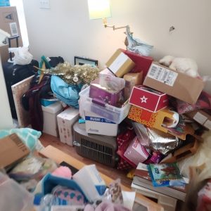 apartment with hoarding